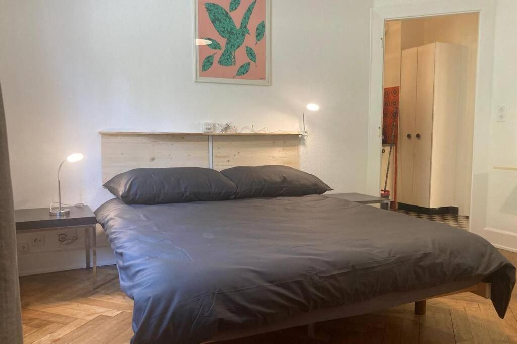 Appartement 2 Pieces Au Centre De ローザンヌ エクステリア 写真